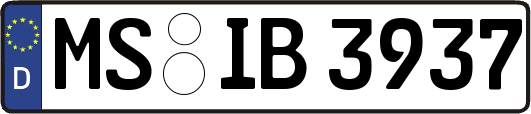 MS-IB3937