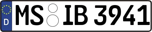 MS-IB3941
