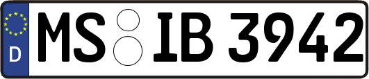 MS-IB3942