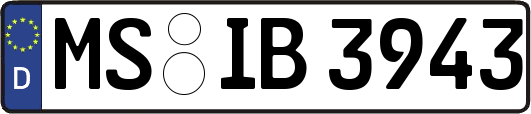MS-IB3943