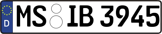 MS-IB3945