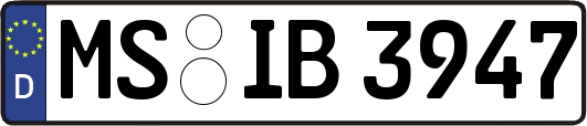 MS-IB3947