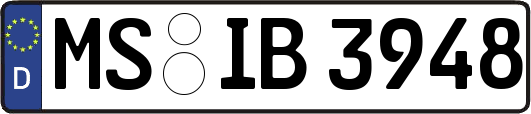 MS-IB3948