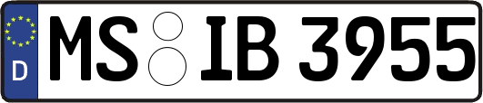 MS-IB3955