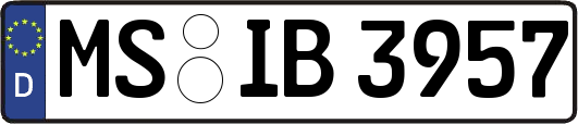 MS-IB3957