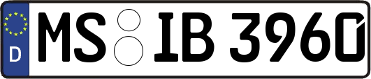 MS-IB3960