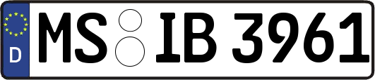 MS-IB3961