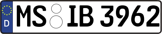 MS-IB3962