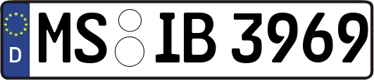MS-IB3969