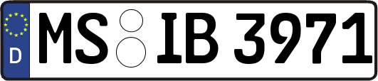 MS-IB3971