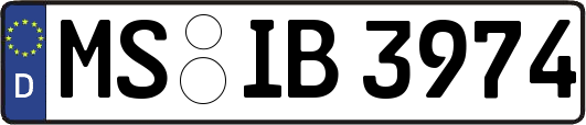 MS-IB3974