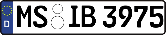 MS-IB3975