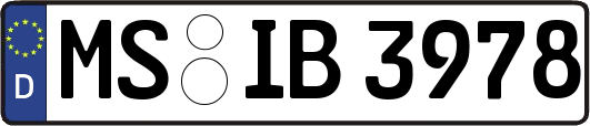 MS-IB3978