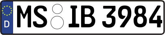 MS-IB3984