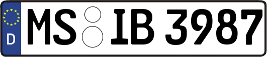 MS-IB3987