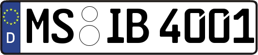 MS-IB4001