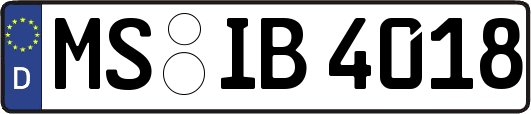 MS-IB4018