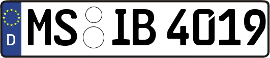 MS-IB4019