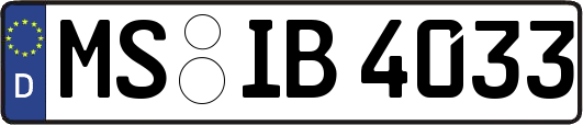 MS-IB4033
