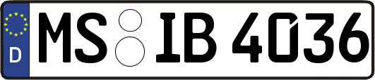 MS-IB4036