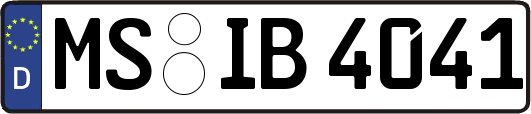 MS-IB4041