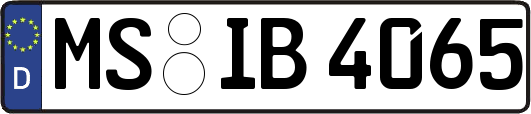MS-IB4065