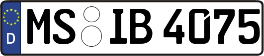 MS-IB4075