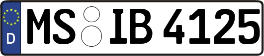 MS-IB4125