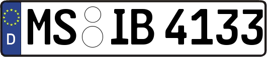 MS-IB4133