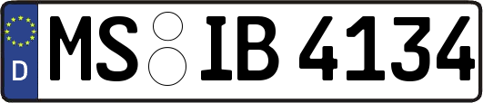 MS-IB4134