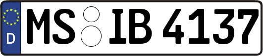 MS-IB4137
