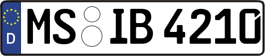 MS-IB4210