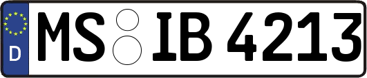 MS-IB4213