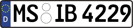 MS-IB4229
