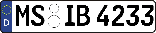 MS-IB4233