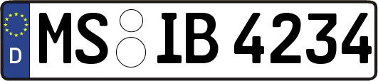 MS-IB4234