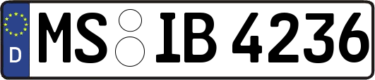 MS-IB4236