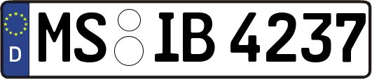 MS-IB4237