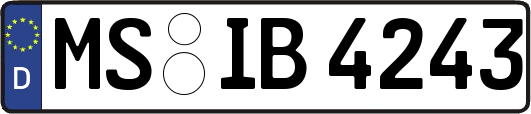 MS-IB4243