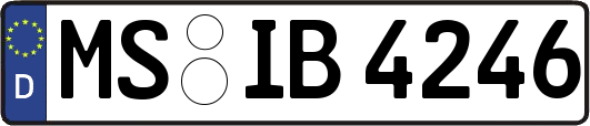MS-IB4246