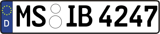 MS-IB4247