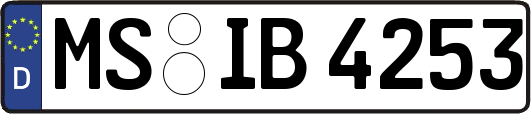MS-IB4253