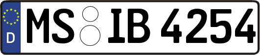 MS-IB4254