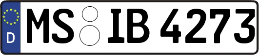 MS-IB4273