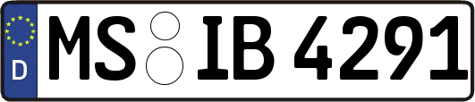 MS-IB4291