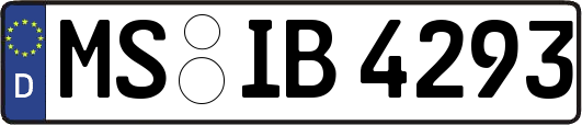 MS-IB4293