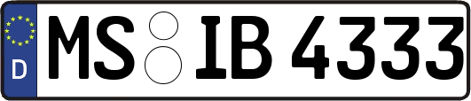 MS-IB4333