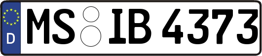MS-IB4373