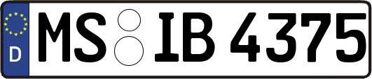 MS-IB4375