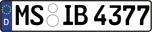 MS-IB4377